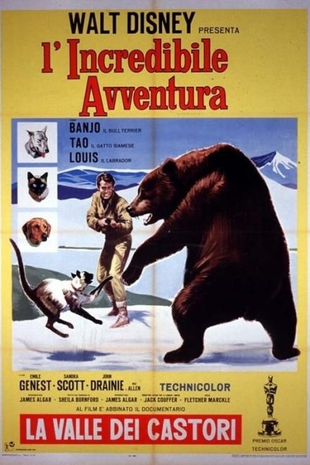 L’incredibile avventura (1963)