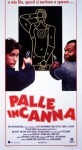 Palle in canna [HD] (1993)