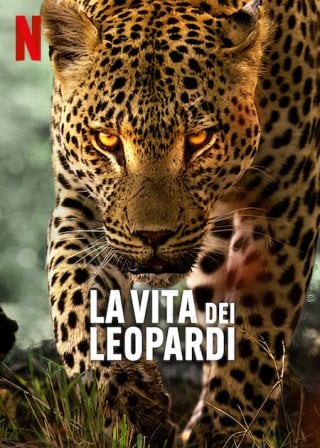 La vita dei leopardi (2024)
